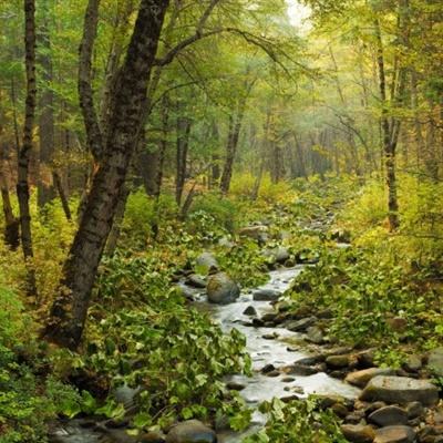 网上下单的足彩app