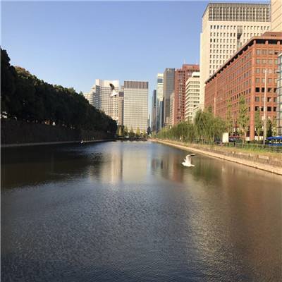 半岛手机综合体育登录